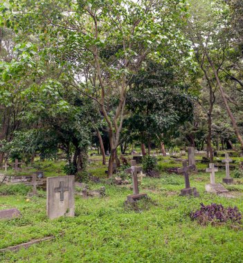 Tanzanya ormanlarındaki mezarlık