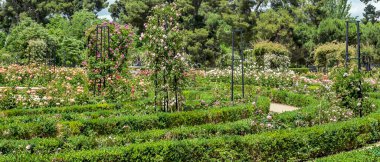 Madrid 'deki Parque del Etiro güneşli bir günde İspanya' nın başkenti