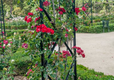 Madrid 'deki Parque del Etiro güneşli bir günde İspanya' nın başkenti