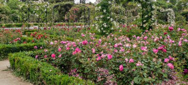 Madrid 'deki Parque del Etiro güneşli bir günde İspanya' nın başkenti