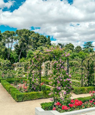 Madrid 'deki Parque del Etiro güneşli bir günde İspanya' nın başkenti