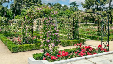Madrid 'deki Parque del Etiro güneşli bir günde İspanya' nın başkenti