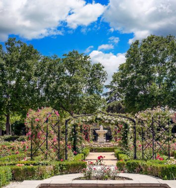Madrid 'deki Parque del Etiro güneşli bir günde İspanya' nın başkenti
