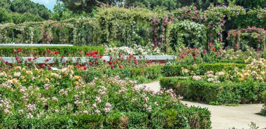 Madrid 'deki Parque del Etiro güneşli bir günde İspanya' nın başkenti