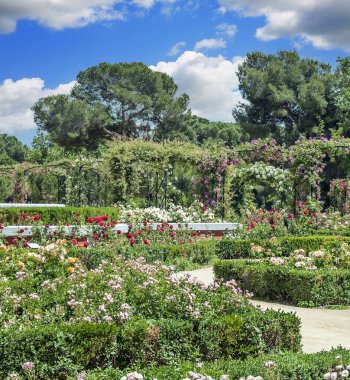 Madrid 'deki Parque del Etiro güneşli bir günde İspanya' nın başkenti