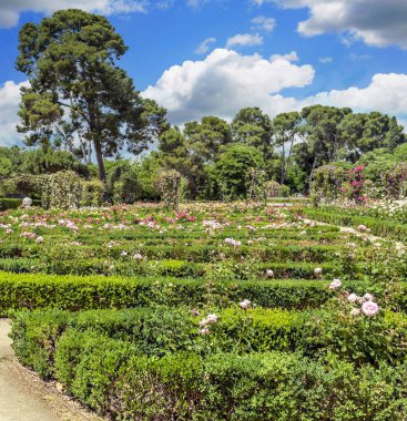 Madrid 'deki Parque del Etiro güneşli bir günde İspanya' nın başkenti