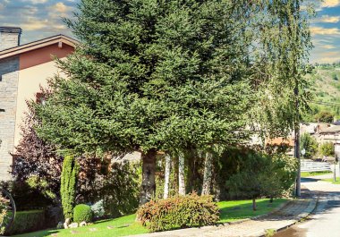 Katalonya 'nın kırsal kesimindeki Pirenes Dağları