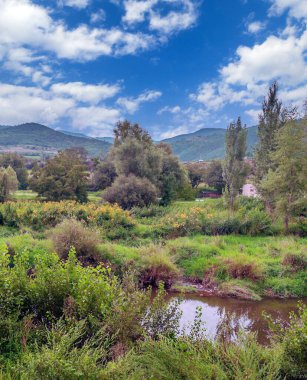 Katalonya Pirene Dağları Ağaçlar ve doğa manzaralı
