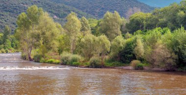 Katalonya Pirenesi Dağları 'ndaki nehir doğa manzarasıyla çevrili.