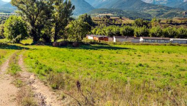 Katalonya Pirene Dağları Ağaçlar ve doğa manzaralı