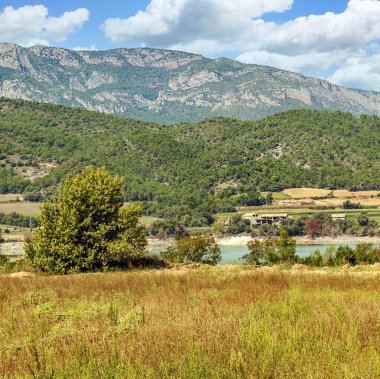 Katalonya Pirene Dağları Ağaçlar ve doğa manzaralı