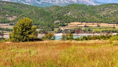 İspanya 'nın kuzeyindeki Katalonya Tarlaları güneşli bir günde