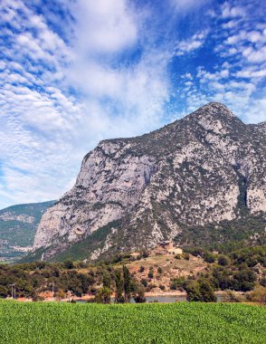 Katalonya Pirene Dağları Ağaçlar ve doğa manzaralı