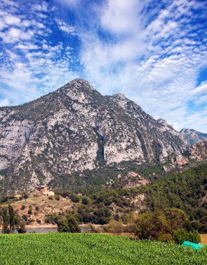 Katalonya Pirene Dağları Ağaçlar ve doğa manzaralı