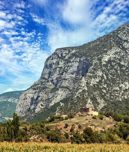 Katalonya Pirene Dağları Ağaçlar ve doğa manzaralı