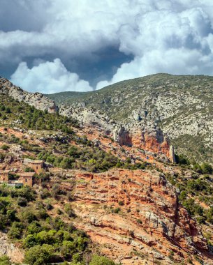 Katalonya Pirene Dağları Ağaçlar ve doğa manzaralı