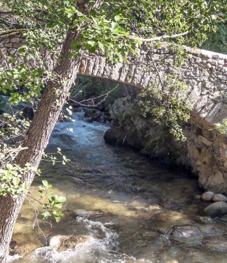 Katalonya Pirenesi Dağları 'ndaki nehir doğa manzarasıyla çevrili.