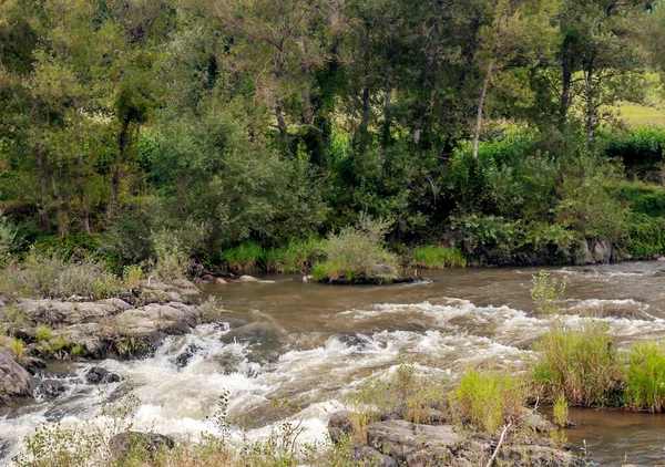 Katalonya Pirenesi Dağları 'ndaki nehir doğa manzarasıyla çevrili.