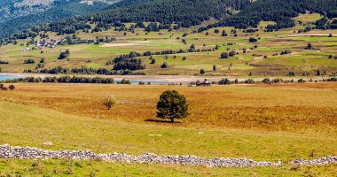Fransa 'nın güneyindeki vadilerde çayırlar