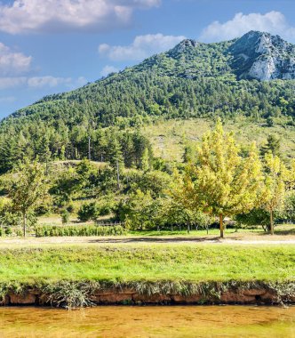 Fransa 'nın güneyindeki vadilerde çayırlar