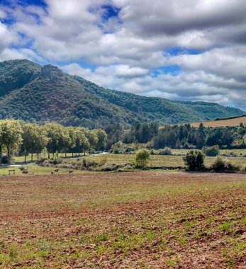 Fransa 'nın güneyindeki vadilerde çayırlar