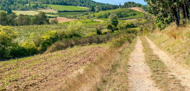 Fransa 'nın güneyindeki vadilerde çayırlar