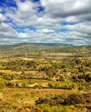 Fransa 'nın güneyindeki vadilerde çayırlar