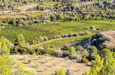 Fransa 'nın güneyindeki vadilerde çayırlar