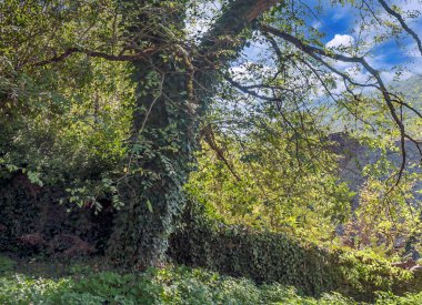 Suuny bir günde vadide Fransız tarımı