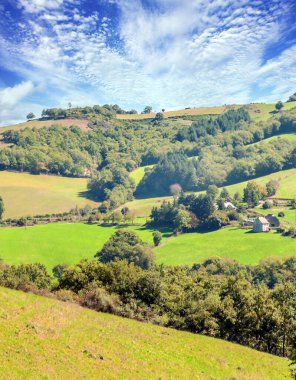 Suuny bir günde vadide Fransız tarımı