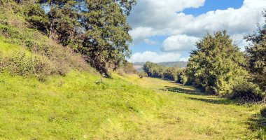 Suuny bir günde vadide Fransız tarımı