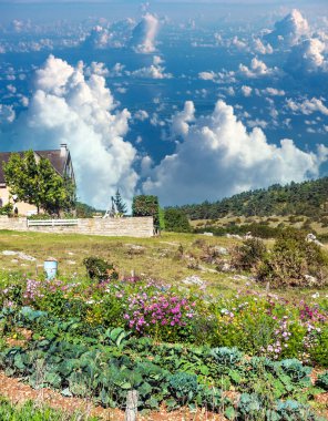 Suuny bir günde vadide Fransız tarımı
