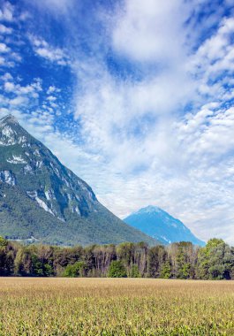 Güneşli bir günde dağlı Fransa 'nın tarlaları