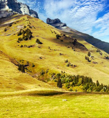 Güneşli bir günde dağlı Fransa 'nın tarlaları