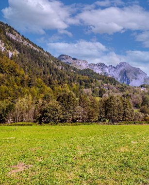 Güneşli bir günde dağlı Fransa 'nın tarlaları