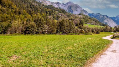 Güneşli bir günde dağlı Fransa 'nın tarlaları