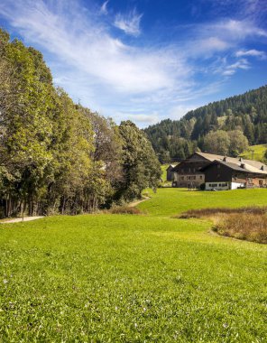 Güneşli bir günde dağlı Fransa 'nın tarlaları