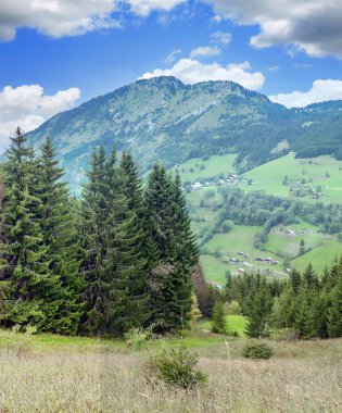 Güneşli bir günde dağlı Fransa 'nın tarlaları