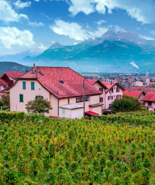 Bern 'deki üzüm bağları bulutlu bir günde