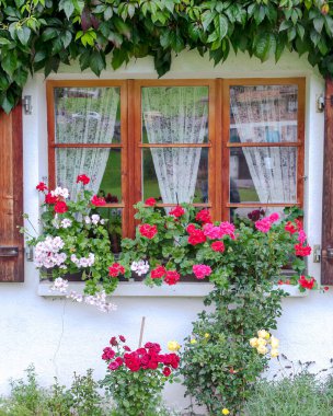 Fransa 'da Yvoire' de pencere ve çiçeklerle çevrili cephe