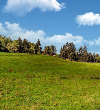 Bulutlu bir günde İsviçre 'de Avrupa Alpleri.