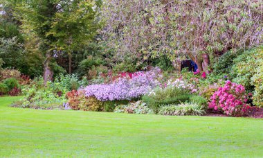 Giethoorn, bulutlu bir günde kanalları ve kırsal evleri olan Hollanda köyü.