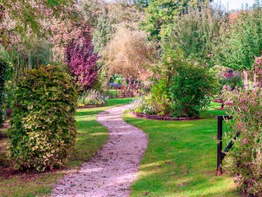 Bulutlu bir günde Fransız Britanya 'sında ağaçlar