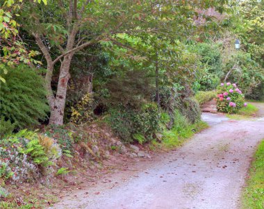 Bulutlu bir günde Fransız Normandiya 'sında bir bahçe.