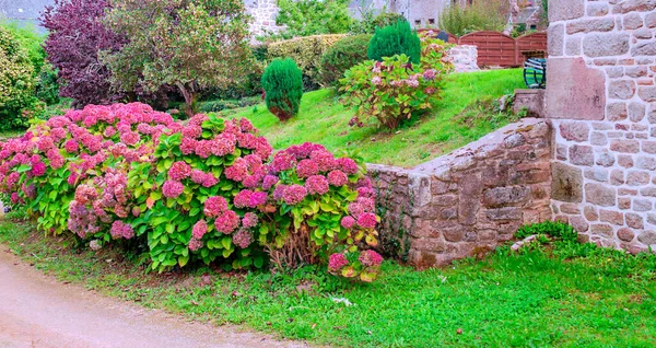 Jardín Doméstico Normandía Francesa Día Nublado — Foto de Stock