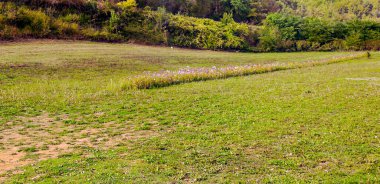 Fransa 'da bulutlu bir günde Aquitaine tarlaları