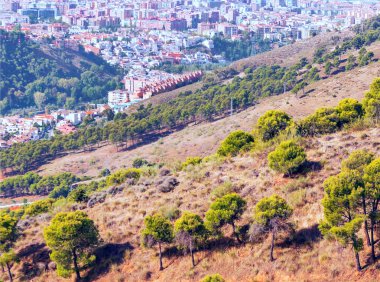 İspanya 'nın Granada kentindeki ormanlar şehir manzaralı.