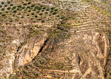 İspanya 'nın Granada kentindeki ormanlar şehir manzaralı.