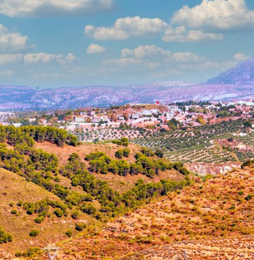 İspanya 'nın Granada kentindeki ormanlar şehir manzaralı.