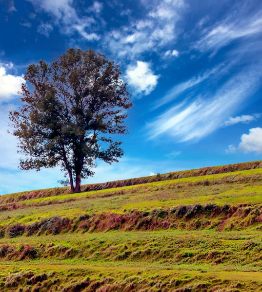 Ainhoa Mountains South France Cloudy Day — Stock Photo, Image